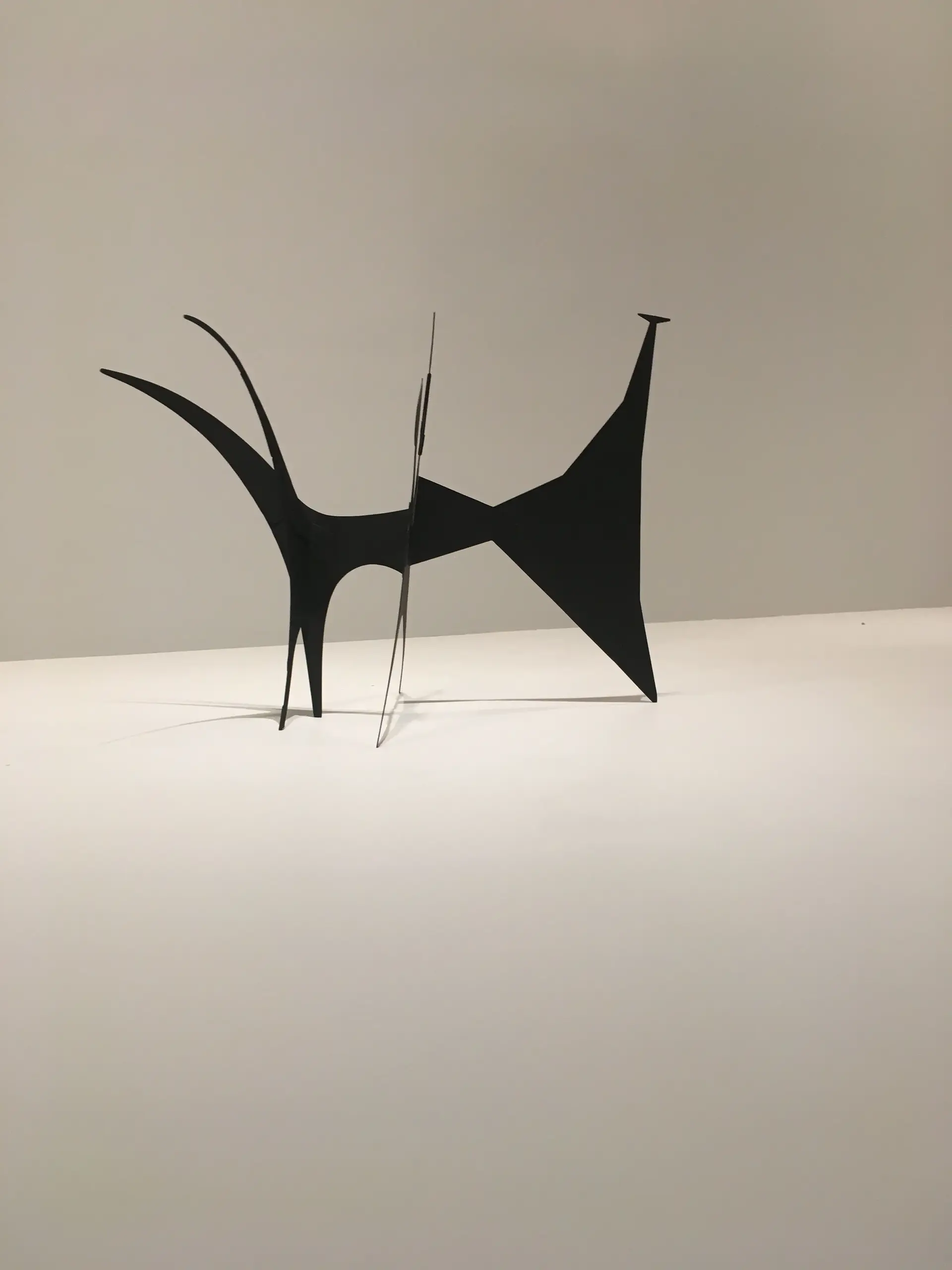 Lucas Mori
